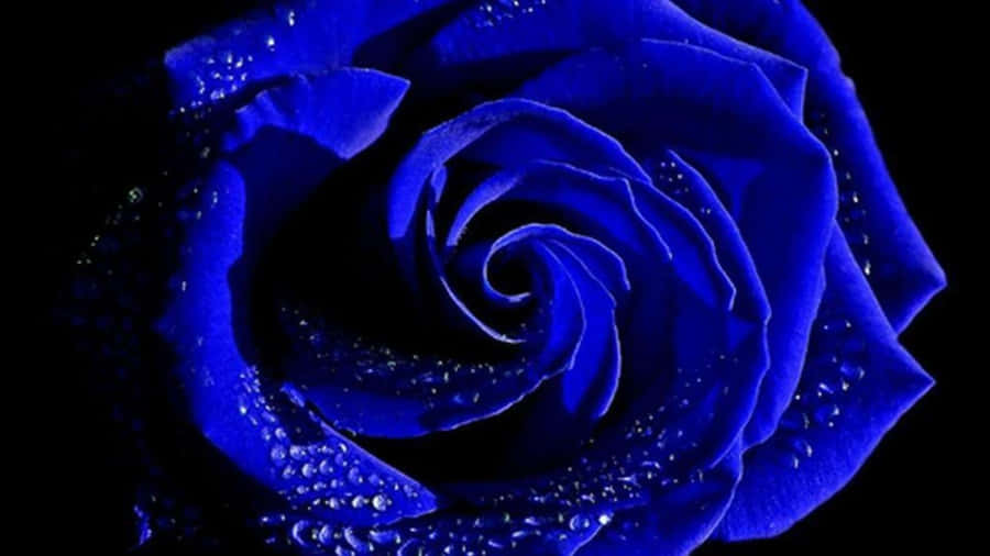 A View Of The Beautiful Night Sky Lit Up With Shades Of Indigo Wallpaper