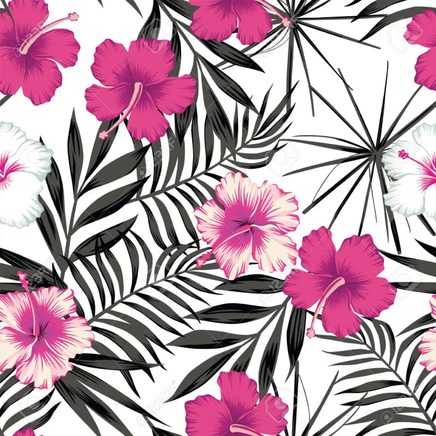 A Vivid Contrast Of Pink And Black Wallpaper