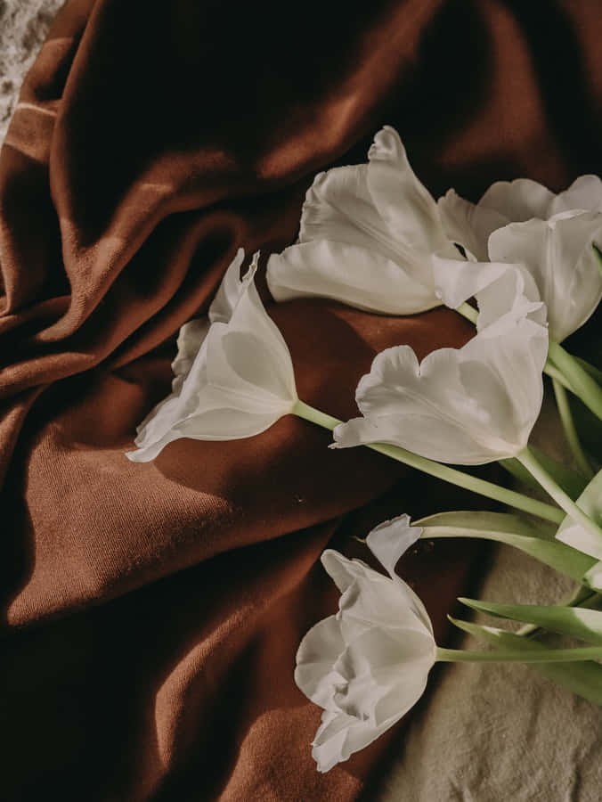Abstract Art With Brown And White Wallpaper