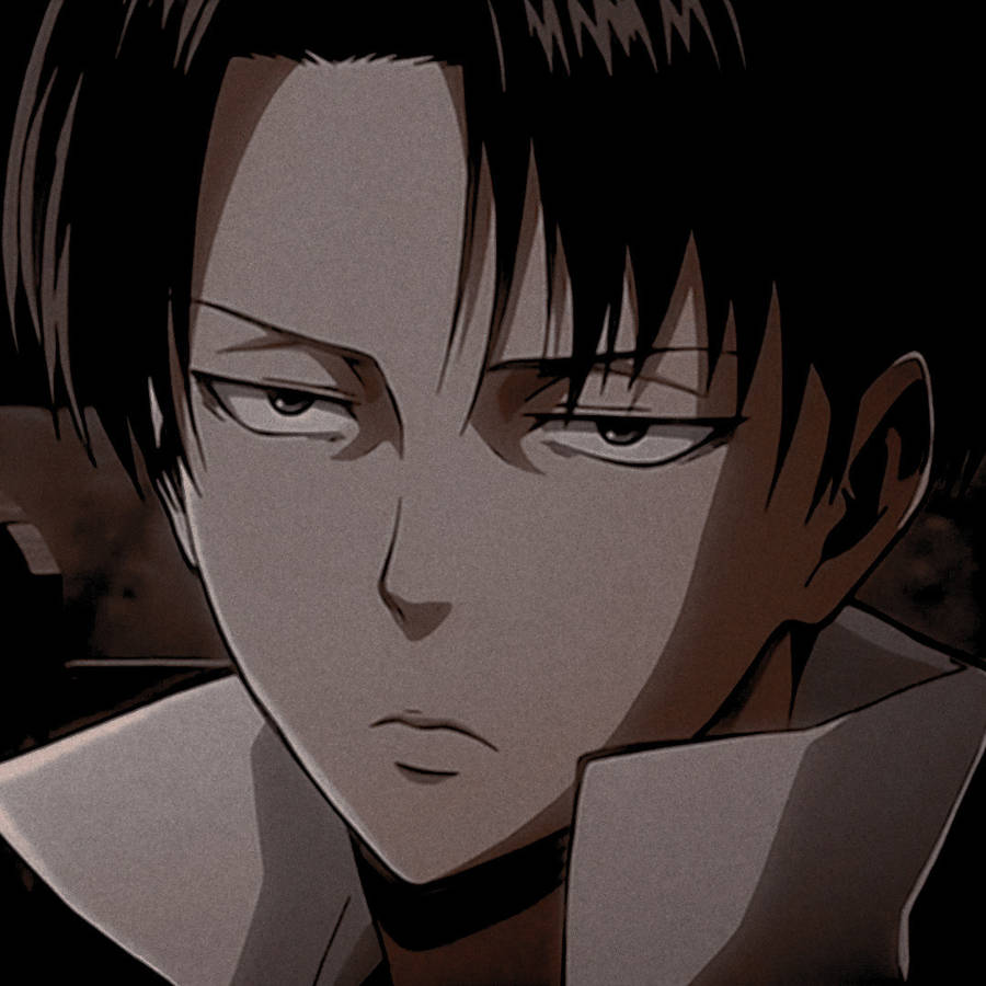 Download free Aesthetic Anime Boy Icon Levi Ackerman Wallpaper ...