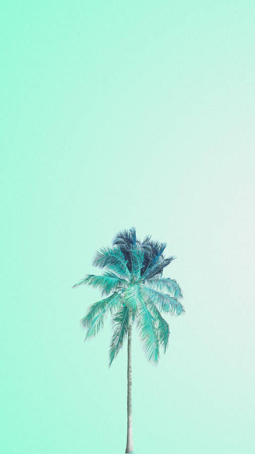 Aesthetic Palm Tree Mint Green Iphone Wallpaper