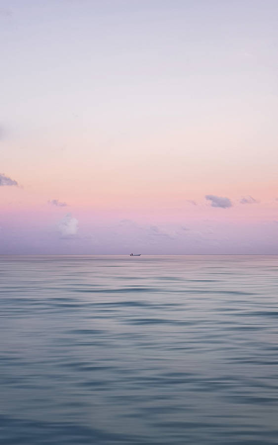 Aesthetic purple and pink sky wallpaper