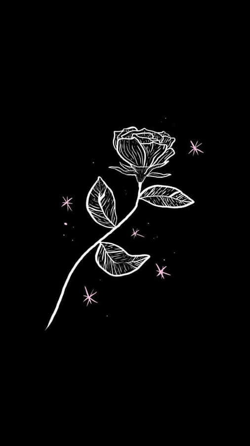 Aesthetic White And Black Iphone With White Rose Wallpaper
