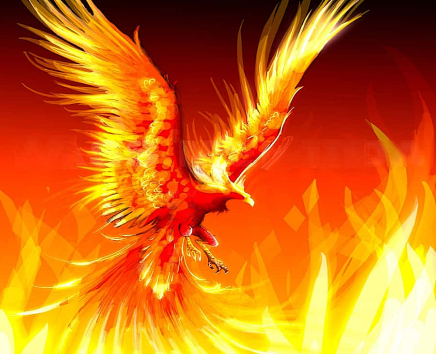 Amazing Visuals Of Contrasting Cool Fire Wallpaper
