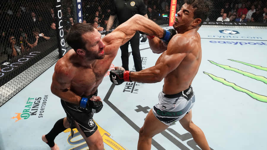 American Ufc Player Luke Rockhold With Brazilian Athlete Paulo Costa Wallpaper