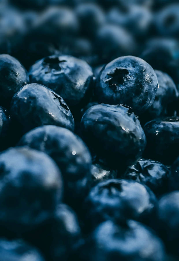 Beautiful background or wallpaper of fresh wild blueberries lay on... -  Stock Image - Everypixel