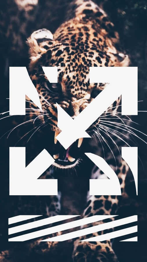 Amur Leopard Off White Iphone Wallpaper