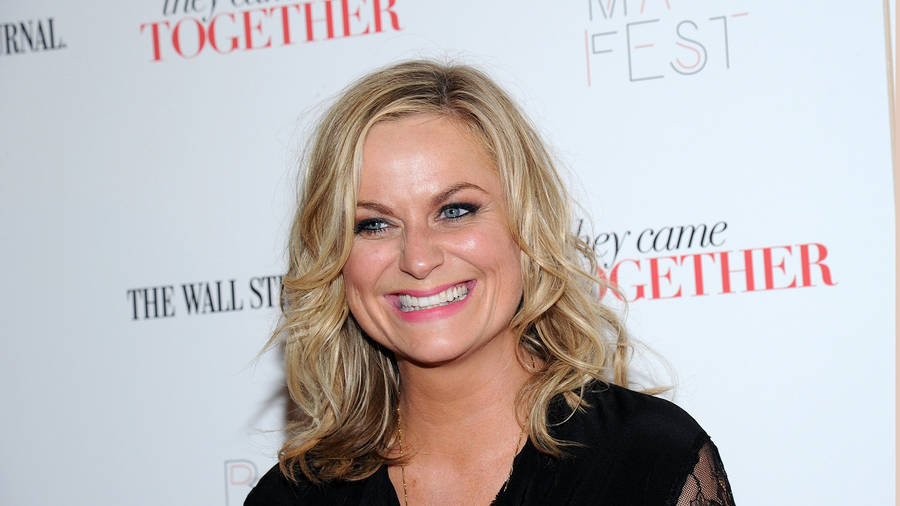 Download free Amy Meredith Poehler Actress Wallpaper - MrWallpaper.com