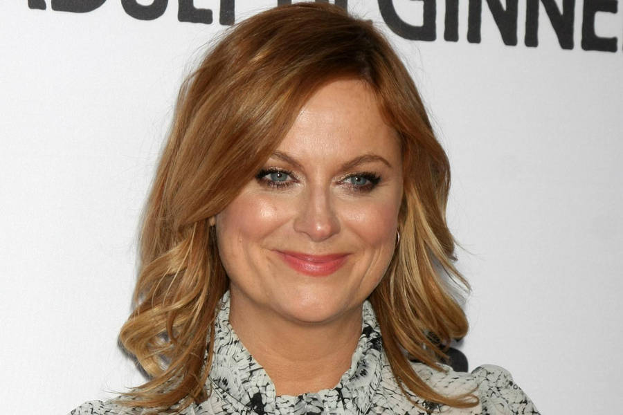 Download free Amy Poehler Award Winning Actress Wallpaper - MrWallpaper.com