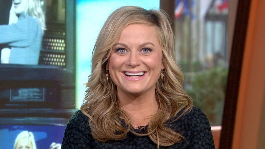 Download free Amy Poehler Saturday Night Live Interview Wallpaper ...