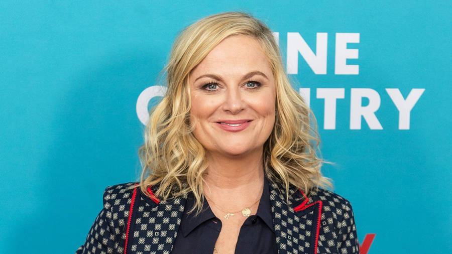 Download free Amy Poehler Wine Country Premiere Wallpaper - MrWallpaper.com