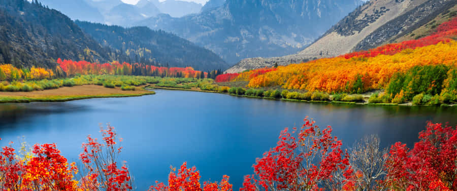 An Awe-inspiring View Of Fall Mountain. Wallpaper