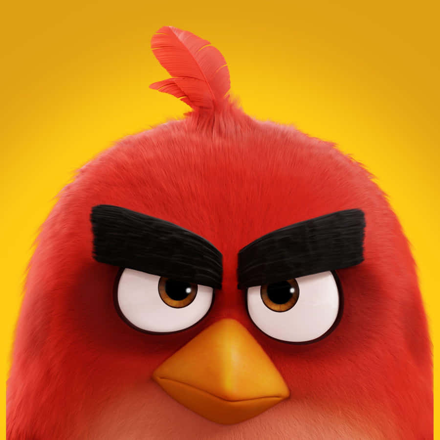 Download free Angry Bird Red Character Portrait Wallpaper