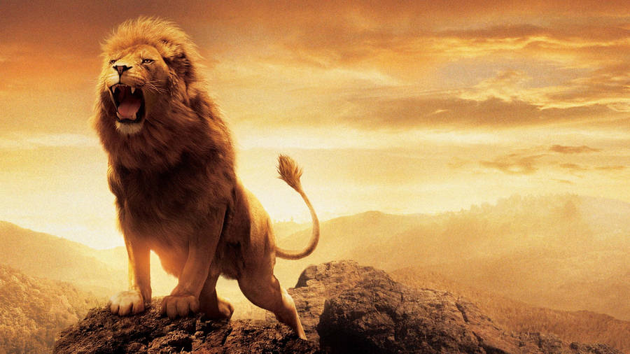 Photos Chronicles of Narnia film