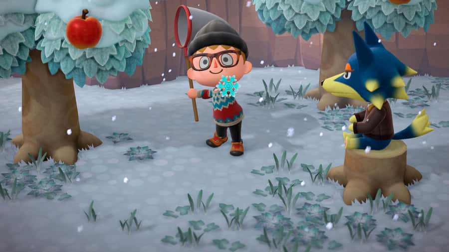 Animal Crossing Winter Wolfgang Wallpaper