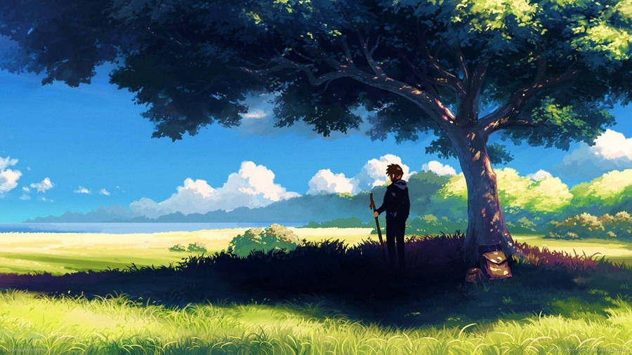 Download free Anime Boy Nature Wallpaper - MrWallpaper.com