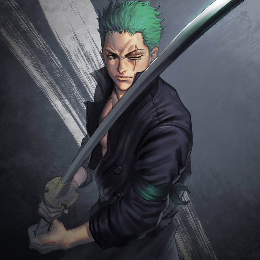 Download free Anime Digital Painting Roronoa Zoro Pfp Wallpaper ...