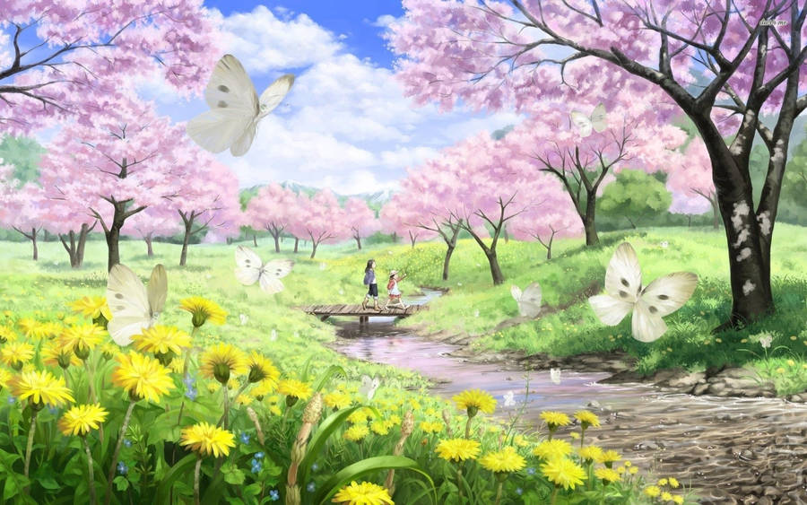 Japanese Cherry Blossom Anime Scenery