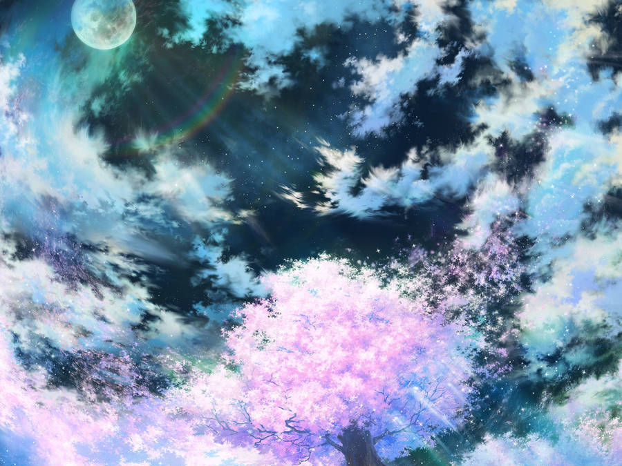 Anime Sakura Night wallpaper