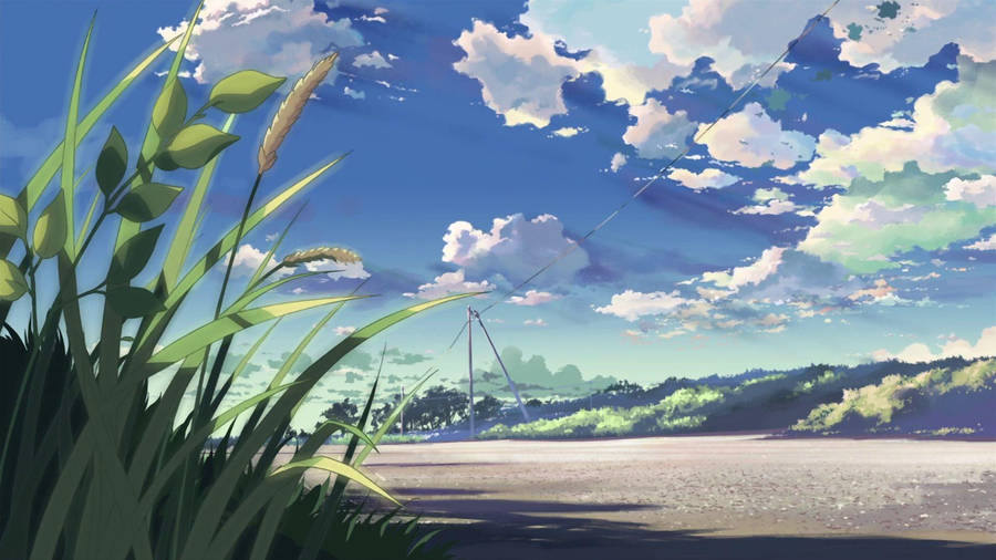 Anime Scenery Grass Blades Wallpaper