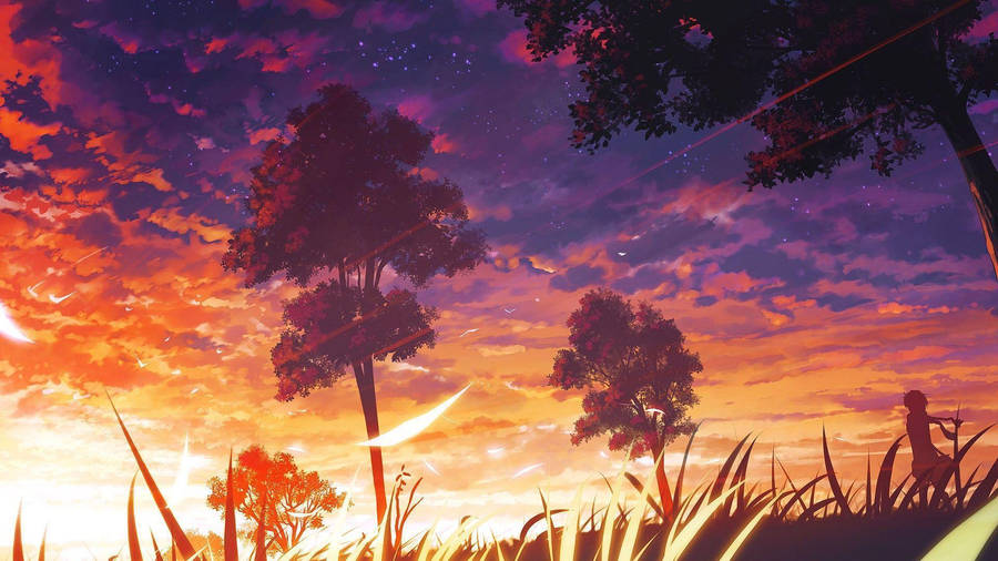 Anime Scenery Man In Field Wallpaper