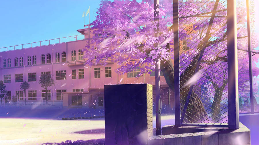 Anime Scenery School Yard Wallpaper