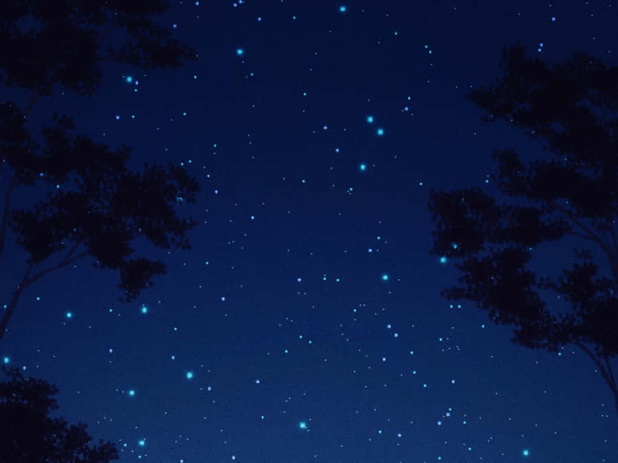 Download free Anime Starry Night Scenery Wallpaper - MrWallpaper.com