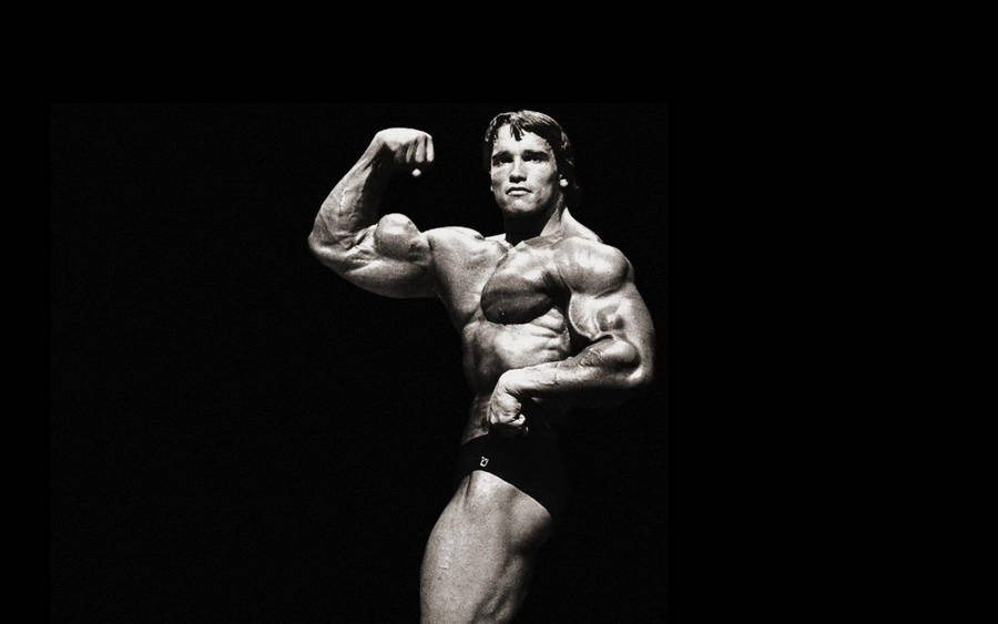 Download free Side View Of Arnold Schwarzenegger Wallpaper - MrWallpaper.com