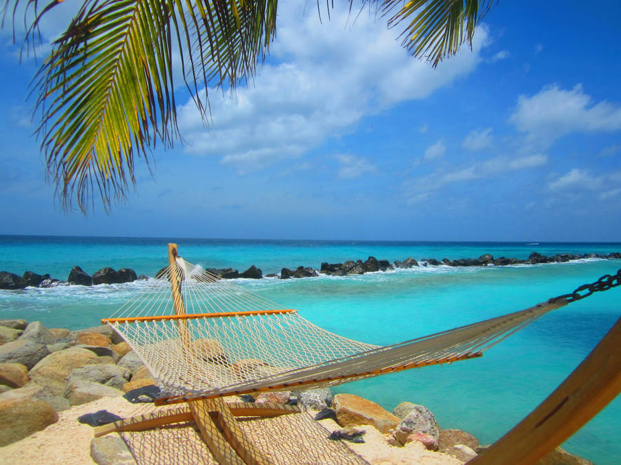 100+ Free Aruba & Caribbean Images - Pixabay