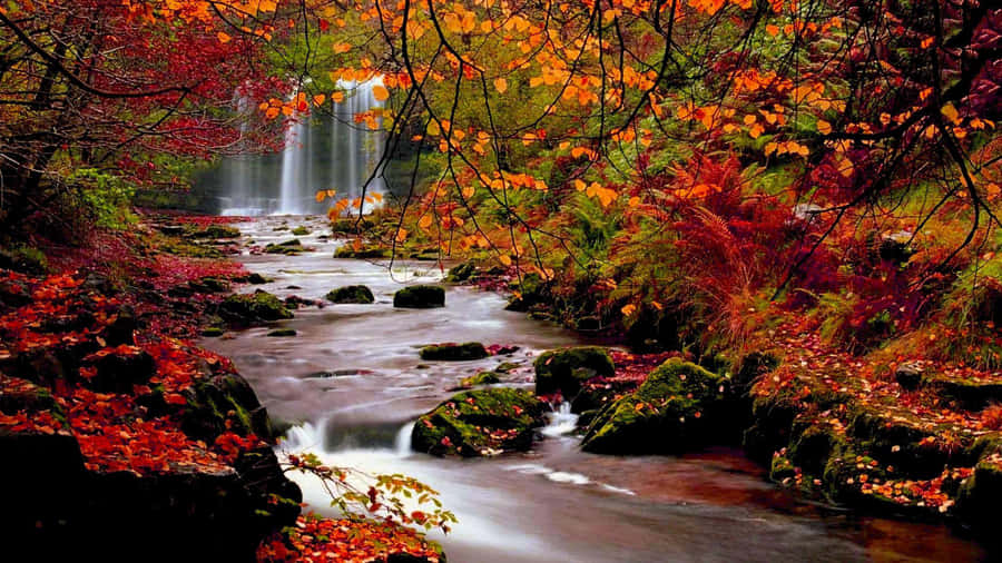 Autumn Desktop - Enjoy The Beauty Of Nature This Fall! Wallpaper