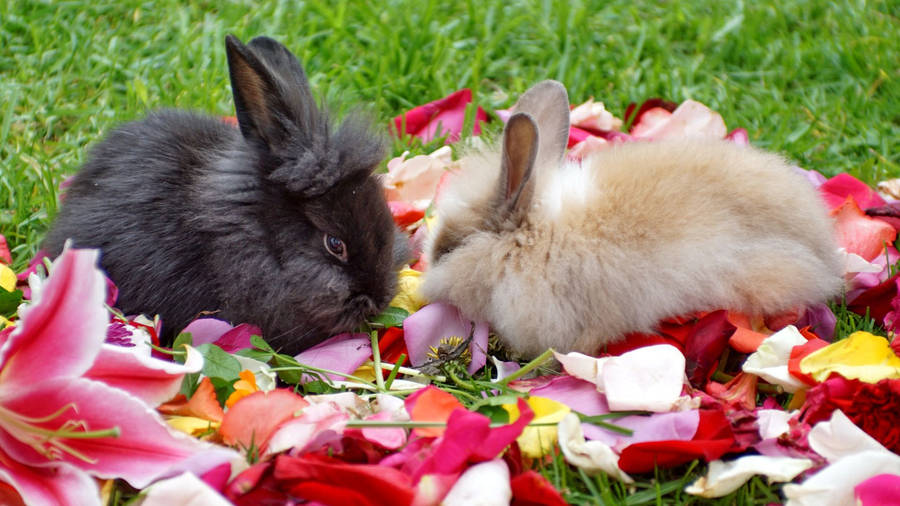 Baby Bunnies On Flower Petals Wallpaper