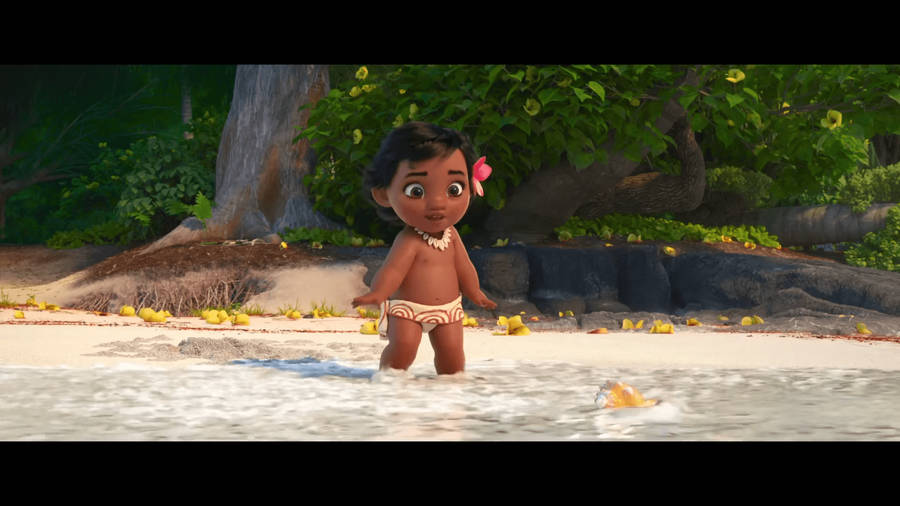 Disney moana HD wallpapers | Pxfuel