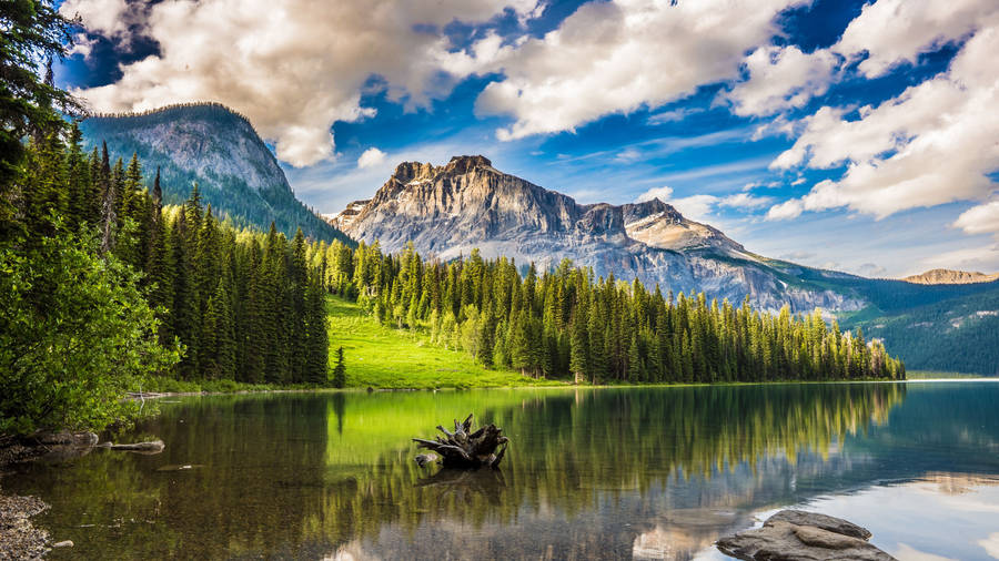 Mountain Lake Reflection Scenery Banff National Park 4K Wallpaper iPhone HD  Phone #1370i