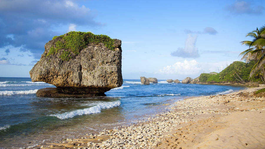 48,826 Barbados Stock Photos, High-Res Pictures, and Images - Getty Images