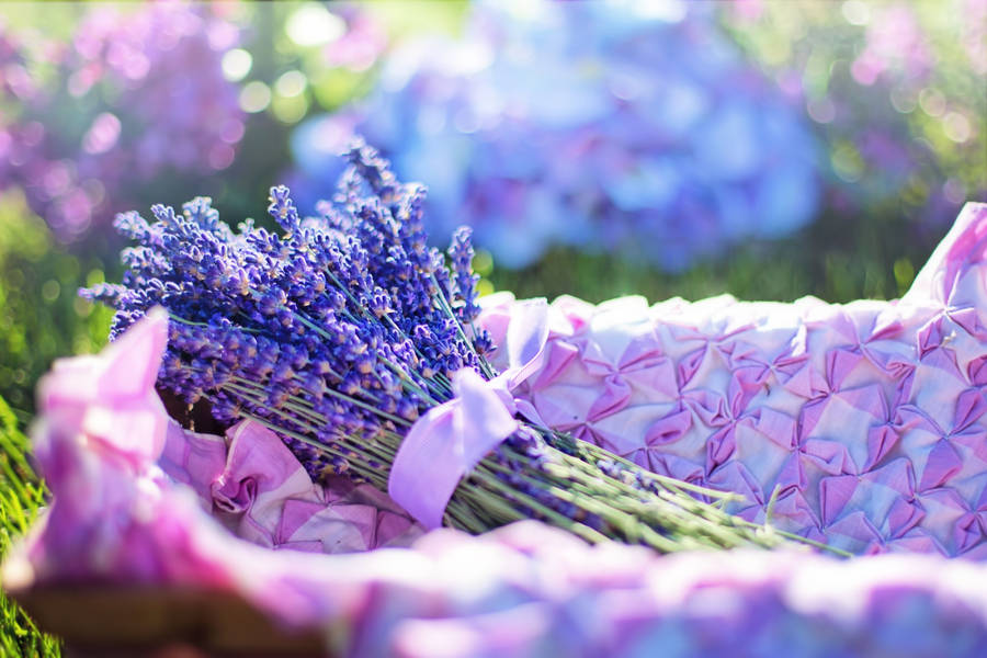 Basket Of Lavender Desktop Wallpaper