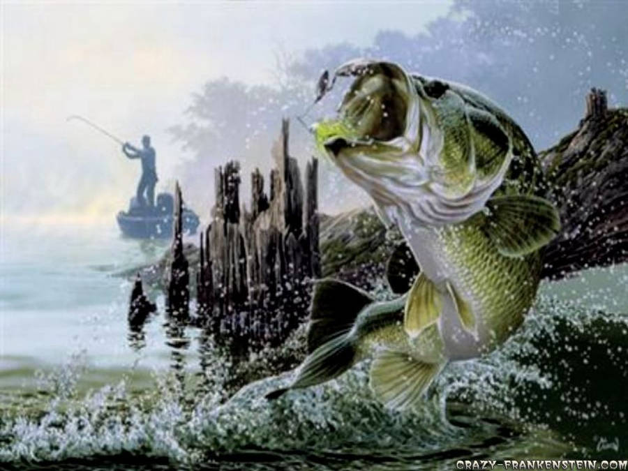 Download Bass Fishing Person Wallpaper