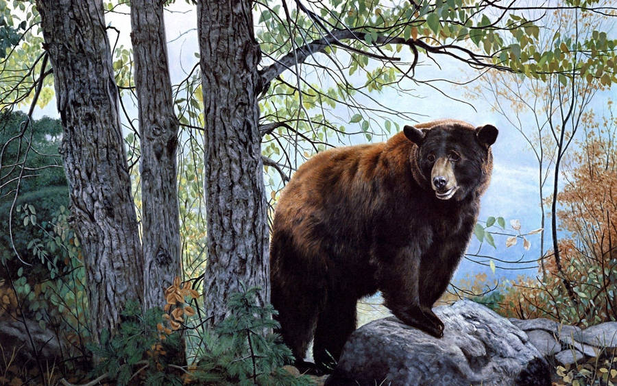 Bear at the cliff wallpaper