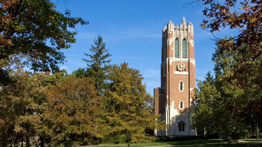 Washington State University logo wallpaper | Allen School News