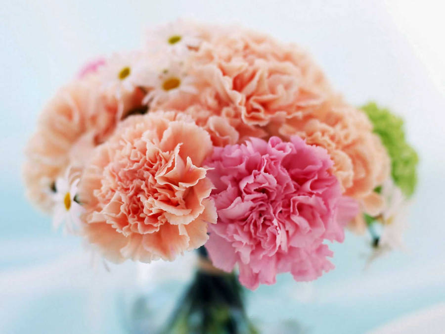 Blooms for her Woman's hands clasp carnation bunch, a Mother's Day  sentiment Vertical Mobile Wallpaper AI Generated 30466250 Stock Photo at  Vecteezy