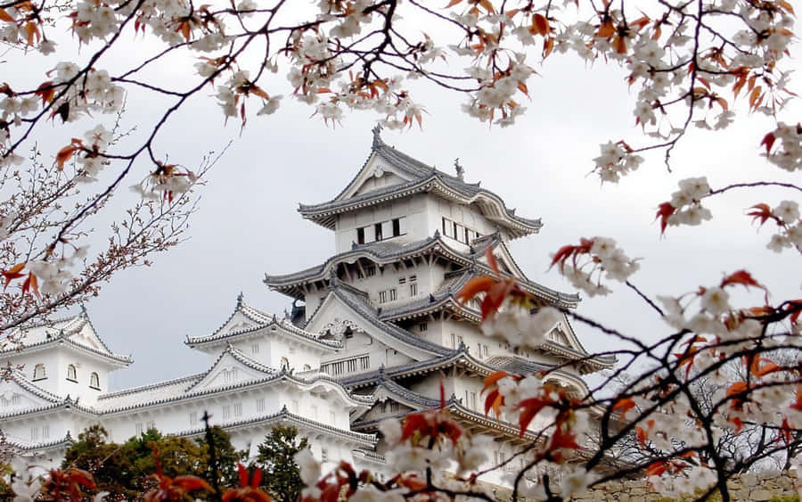 Beautiful Japanese-inspired Aesthetic Desktop Wallpaper
