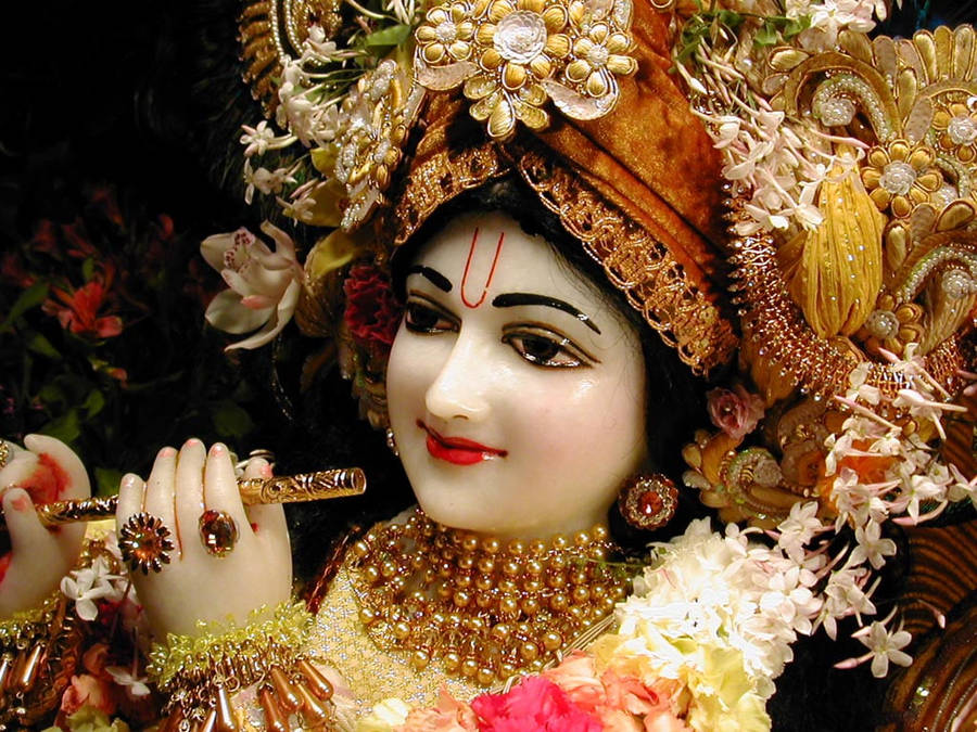 Murli, krishna, mayur pankh, HD phone wallpaper | Peakpx