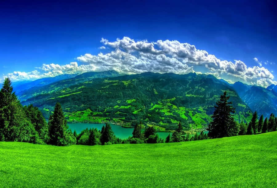 Beautiful Scenery Desktop Ichkeul Lake Wallpaper