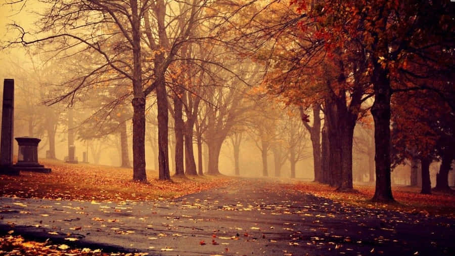 Beautiful Scenery Nostalgic Sad Desktop Wallpaper