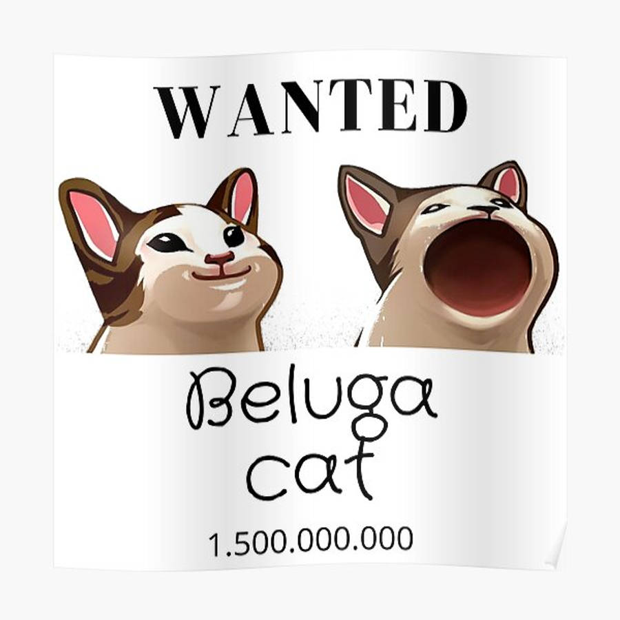 Download free Beluga Cat Sticker Wallpaper - MrWallpaper.com