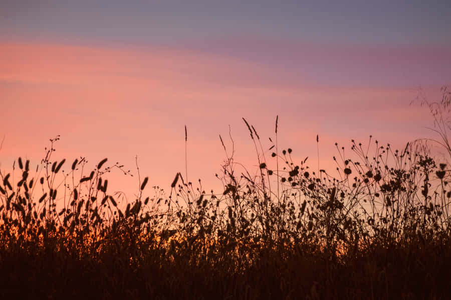 Bid Farewell To Summer With An Incredible Beach Sunset. Wallpaper