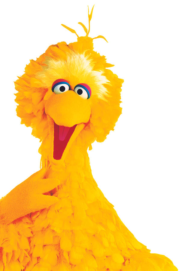 Download free Big Bird Smiling Wallpaper - MrWallpaper.com