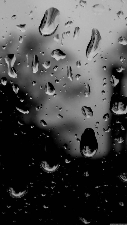 Black And White Photography Rain Drops Wallpaper