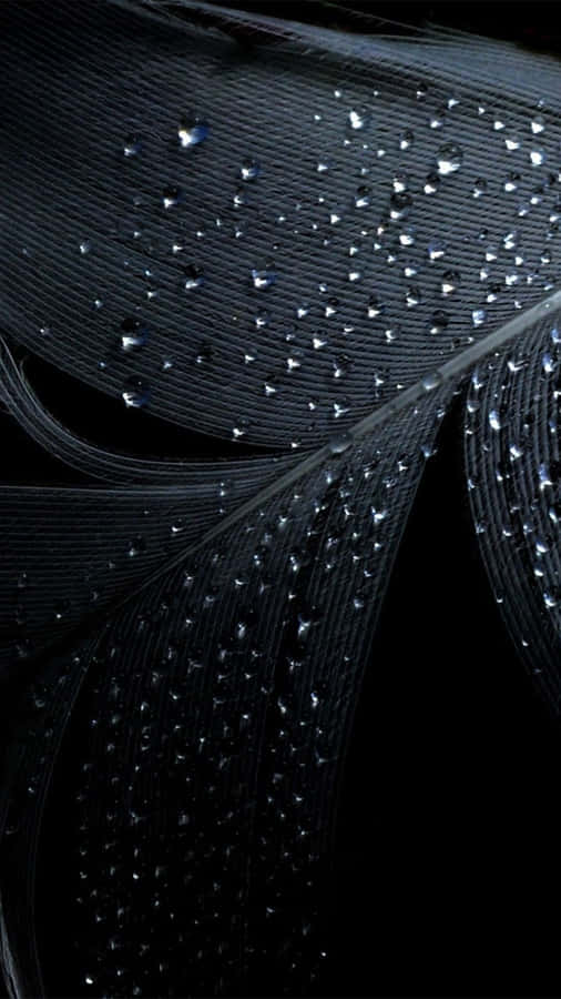 Black Feather Galaxy Note 4 Wallpaper