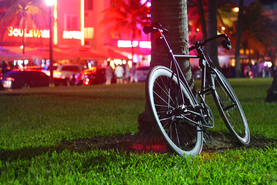 Black Road Bike In Mall Tree Wallpaper