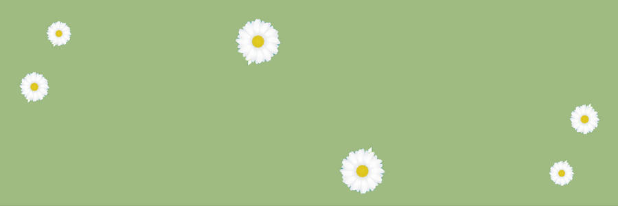 Blooming Inspiration: Minimalist Flower Computer Wallpaper